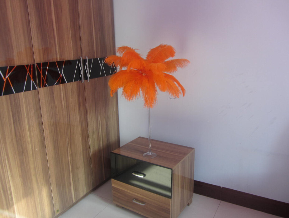 480pieces 14-16inch orange feathers - Click Image to Close